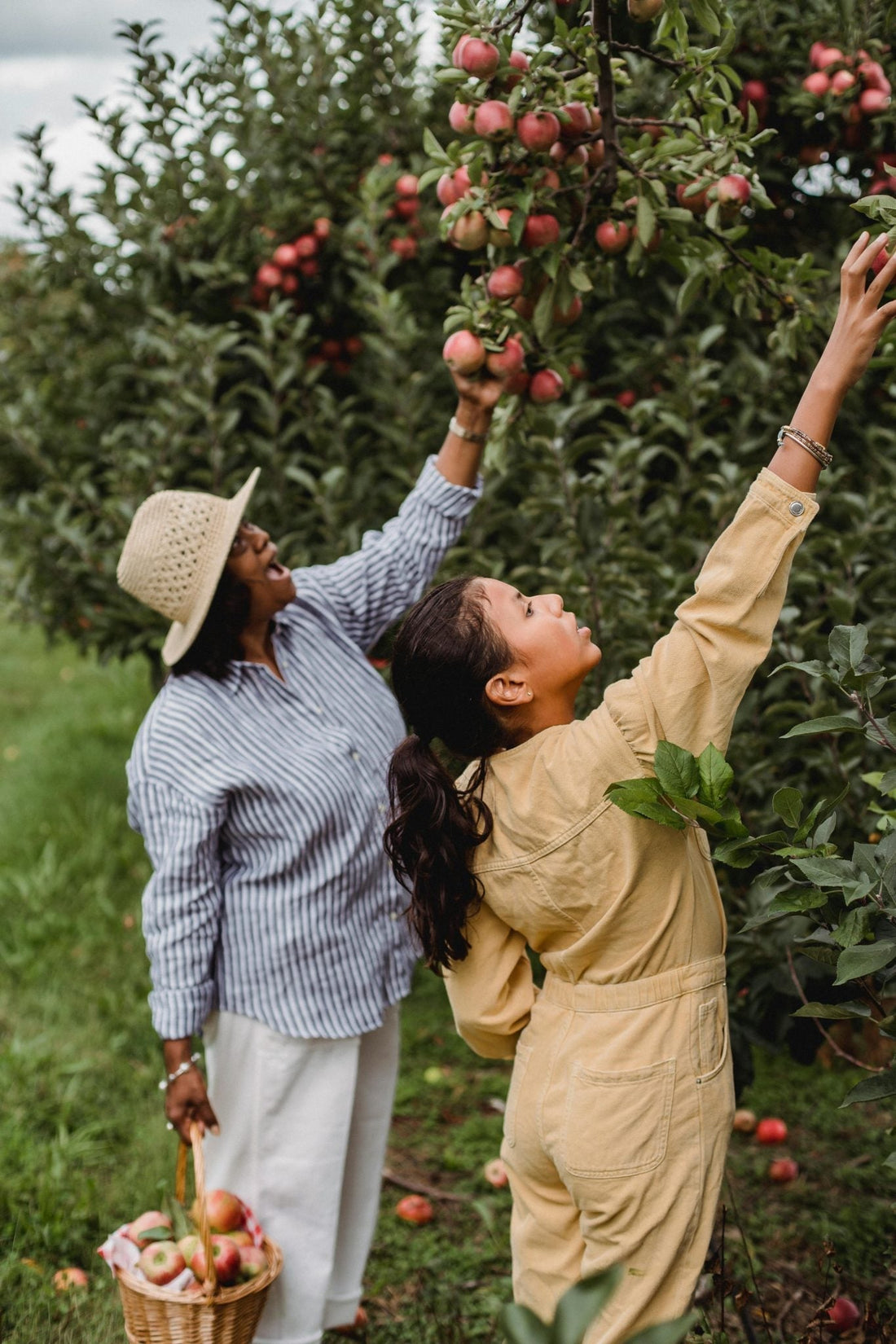 L'automne: la saison des super aliments !