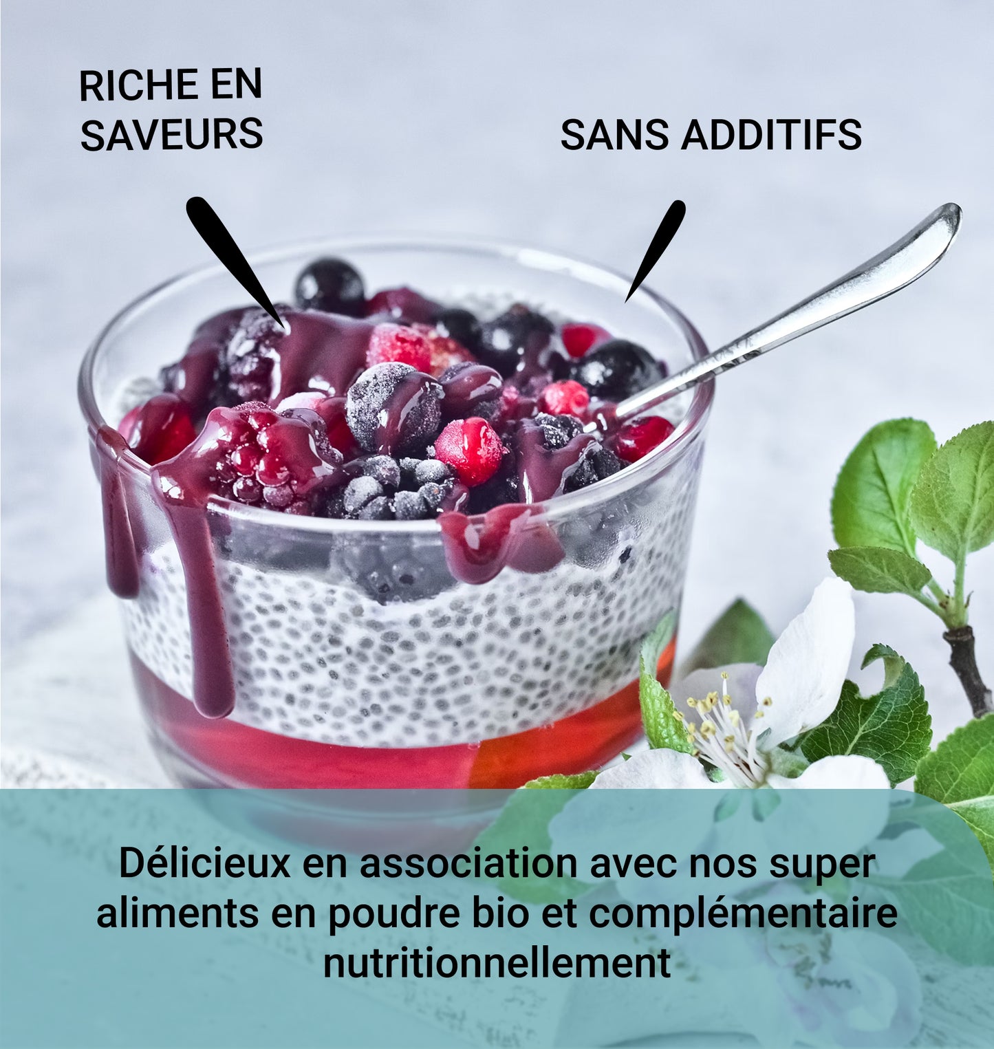 Graines de chia Bio Cultivées en France
