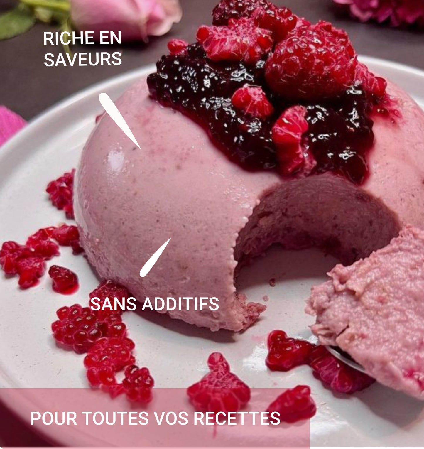 Fraise Poudre Bio 120g